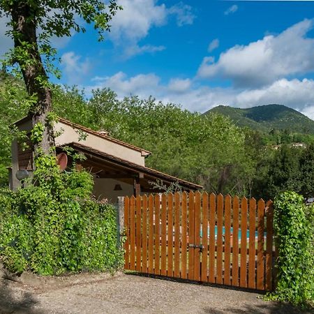 Villa Con Piscina Esclusiva Nel Verde 卢卡 外观 照片