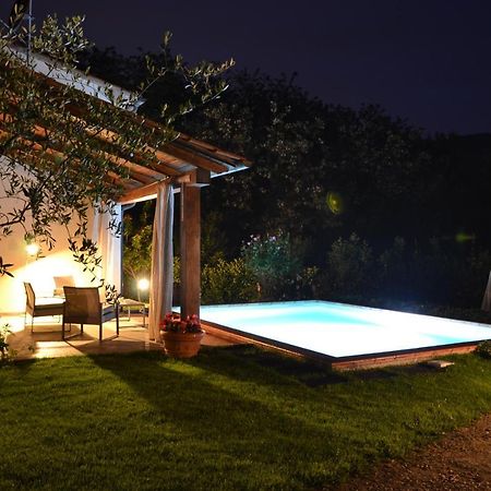 Villa Con Piscina Esclusiva Nel Verde 卢卡 外观 照片
