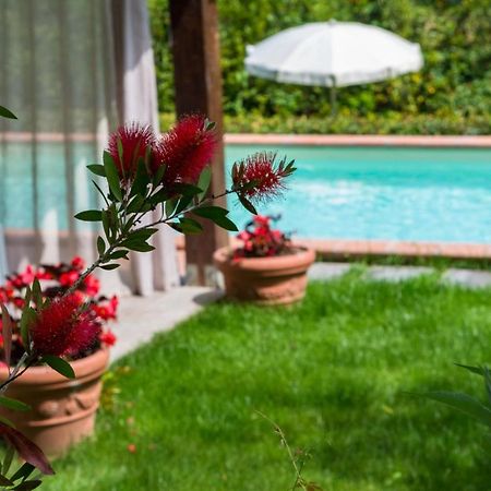 Villa Con Piscina Esclusiva Nel Verde 卢卡 外观 照片