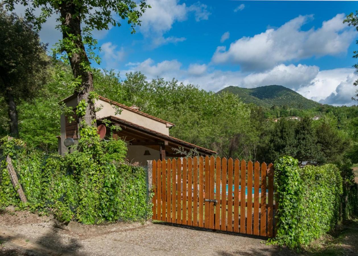 Villa Con Piscina Esclusiva Nel Verde 卢卡 外观 照片
