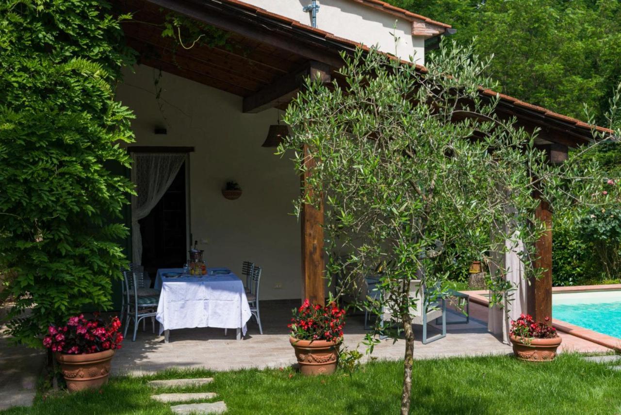 Villa Con Piscina Esclusiva Nel Verde 卢卡 外观 照片