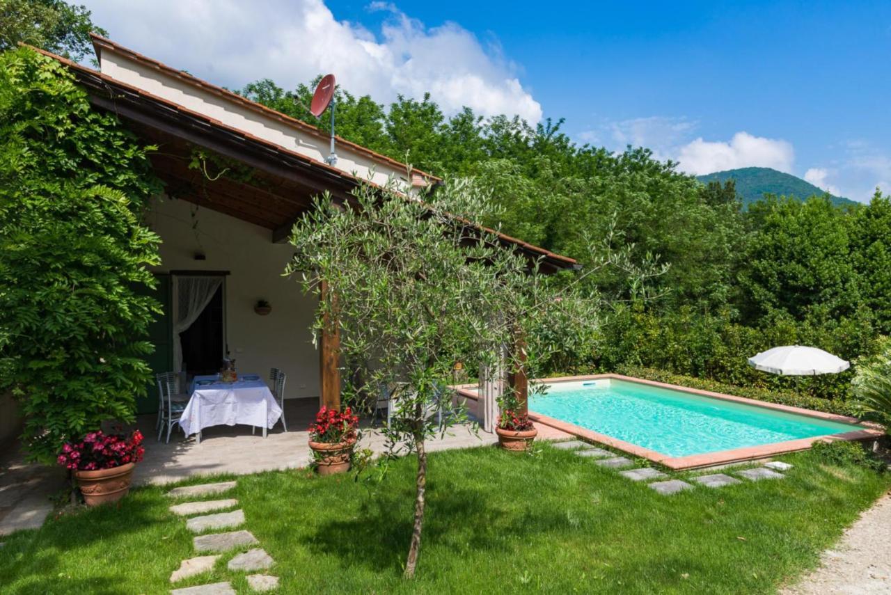 Villa Con Piscina Esclusiva Nel Verde 卢卡 外观 照片