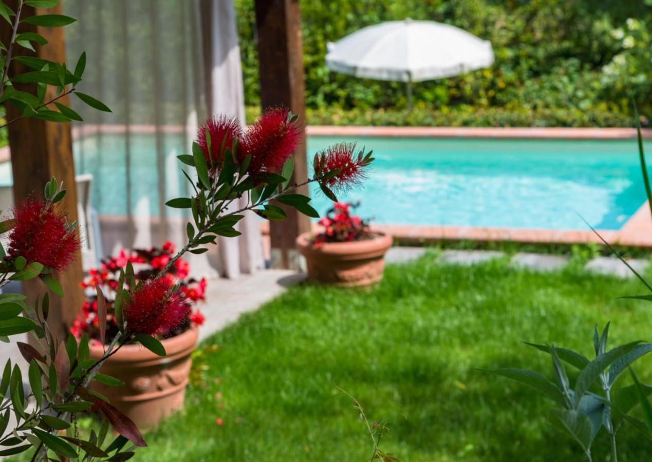 Villa Con Piscina Esclusiva Nel Verde 卢卡 外观 照片