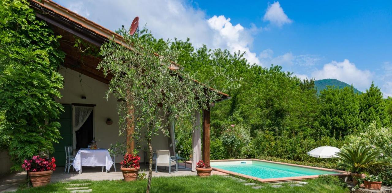 Villa Con Piscina Esclusiva Nel Verde 卢卡 外观 照片