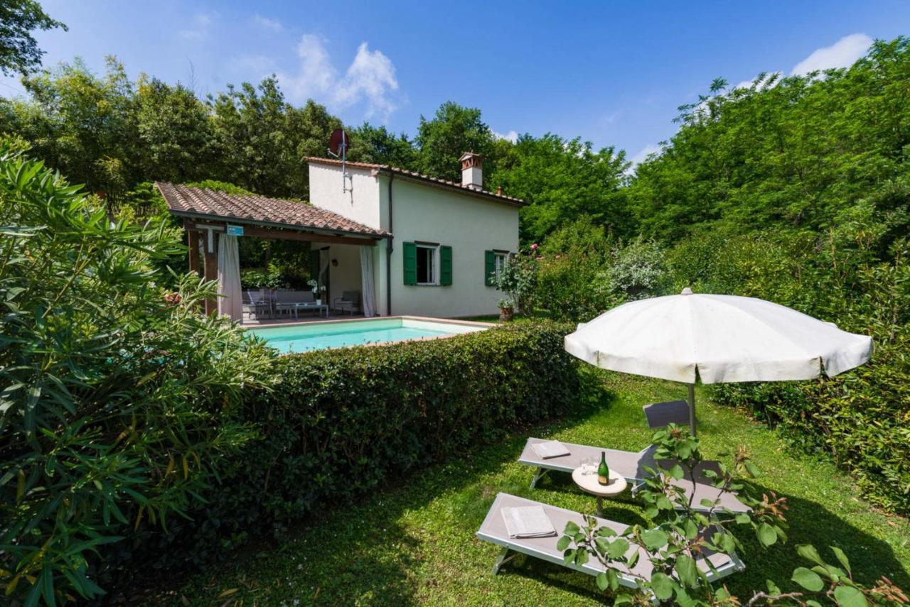 Villa Con Piscina Esclusiva Nel Verde 卢卡 外观 照片